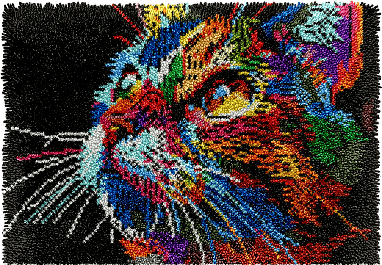 Technicolor Whiskers - Latch Hook Rug Kit - Latch Hook Crafts