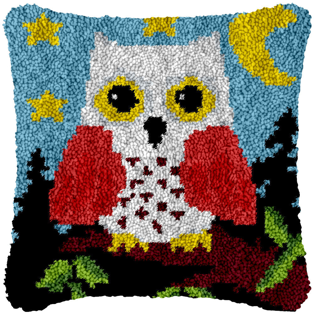 Midnight Watch Owl Latch Hook Pillowcase by Heartful Crafts