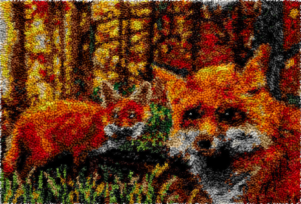 Curious Foxes DIY Latch Hook Rug Making Kit For Adults Latch Hook Crafts